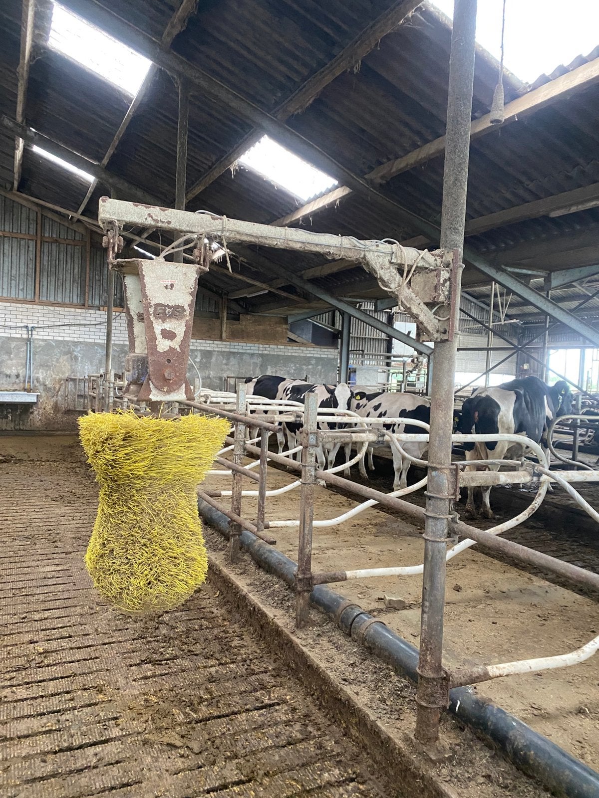 Vee borstel, Dieren en Toebehoren, Ophalen, Gebruikt