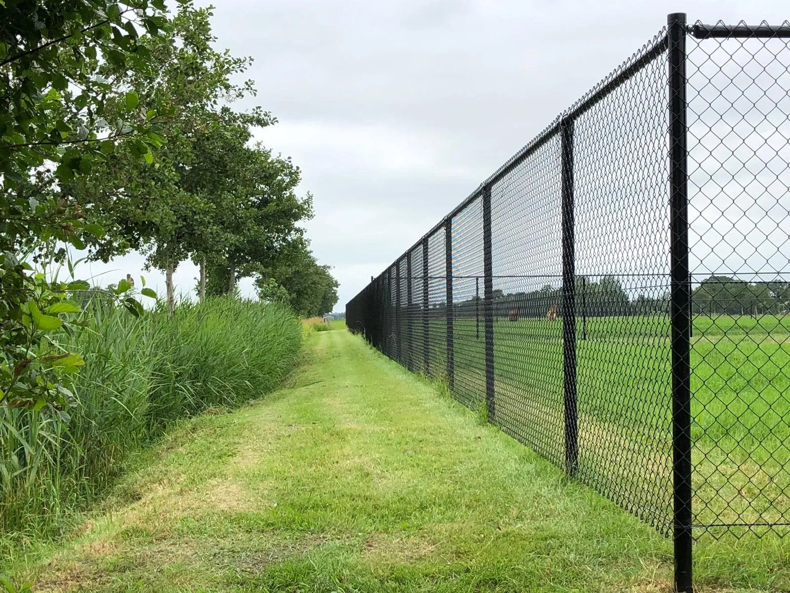 Groen gaashekwerk 1.80m hoog, 30m lang met palen, Ophalen, Gebruikt, Gaashekwerk