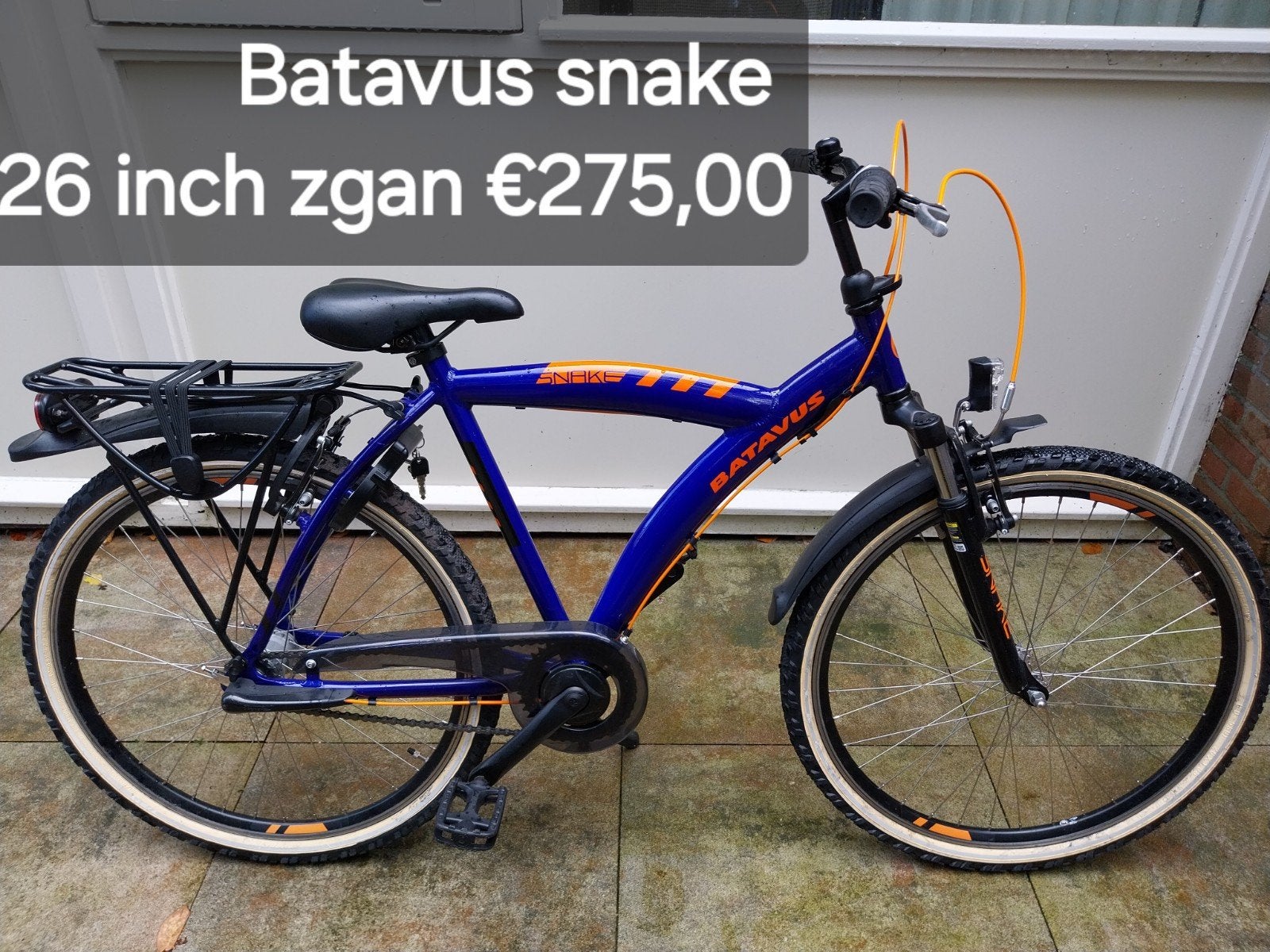 Batavus snake Loekie snake jongensfietsen, Ophalen, Terugtraprem, 22 inch, Versnellingen
