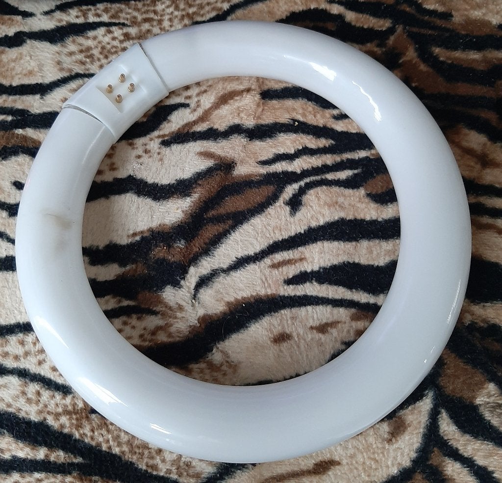 ronde Philips Master TL-E22W/840, Ophalen, Gebruikt, Philips