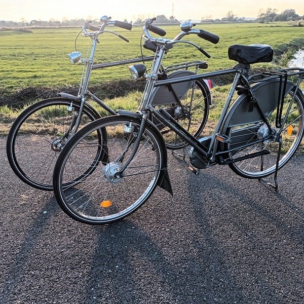 Gazelle tour populair  66cm 3v 2017  125 jaar gazelle, Ophalen, Gebruikt, Versnellingen, 65 cm of meer