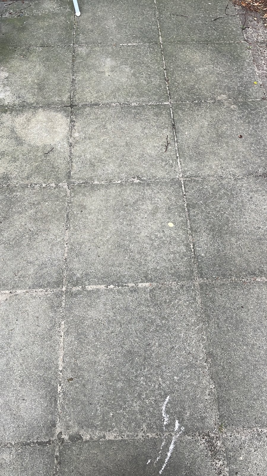 Gratis af te halen: ca. 22m2 betontegels 50x50cm, Tuin en Terras, Tegels en Klinkers, Ophalen, Overige materialen, Gebruikt, 10 m² of meer