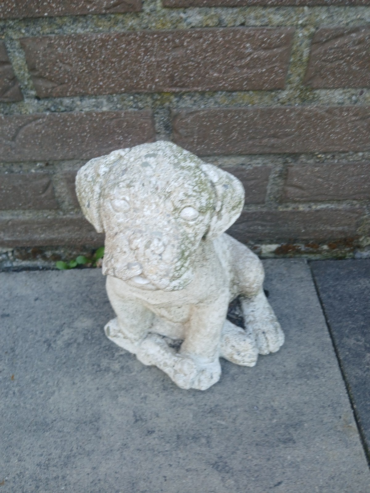 Beeld van hondje!, Ophalen of Verzenden, Kunststof