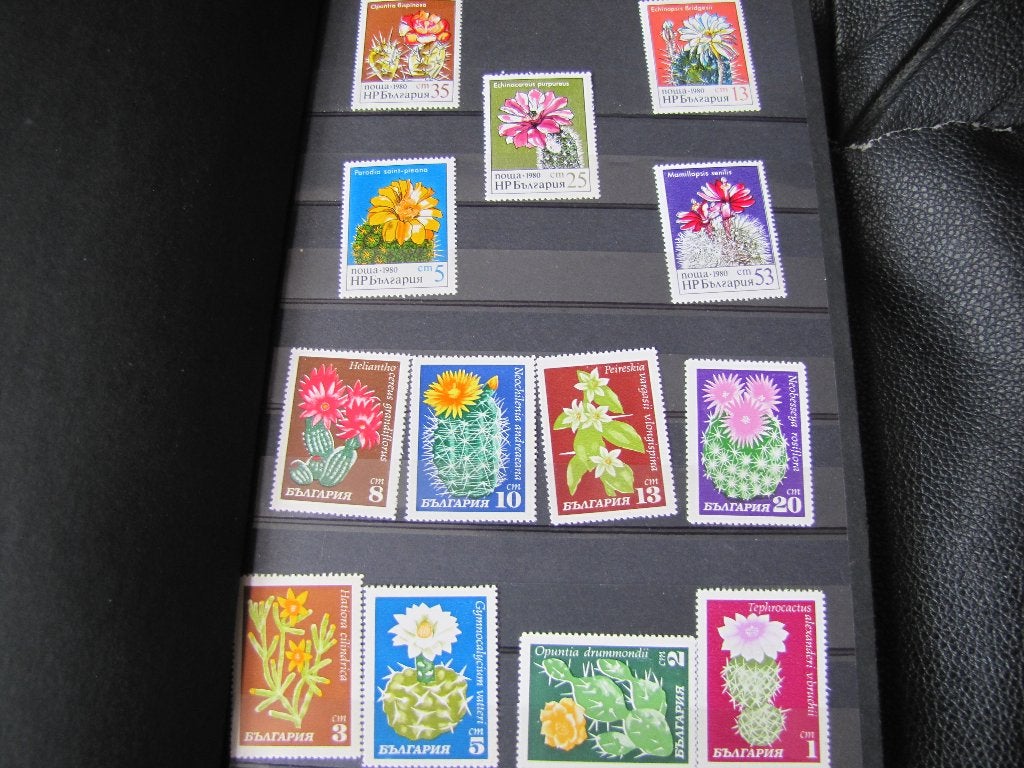 PZ.Album met cactuszegels., Ophalen of Verzenden, Nieuw