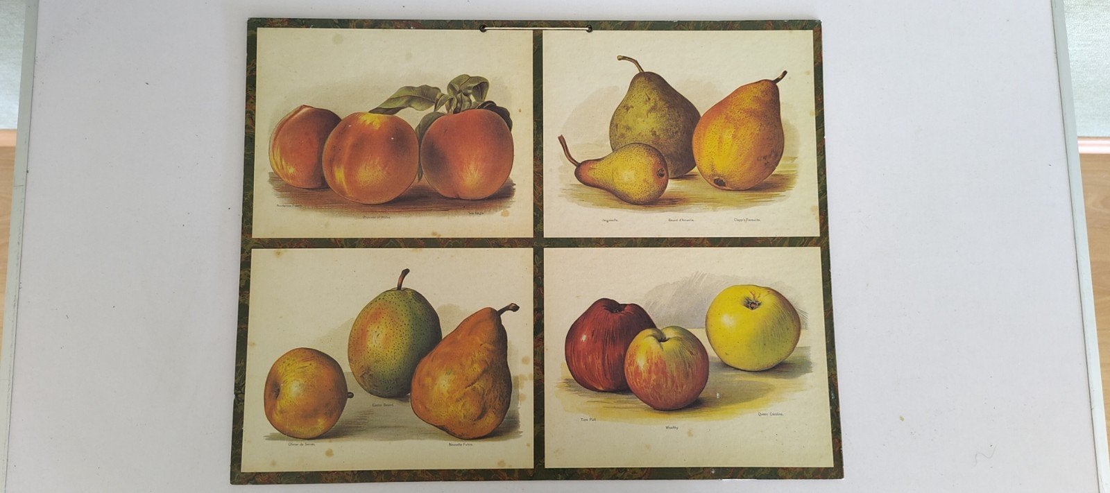 Vintage fruit prints - Edition Bernard Carant Paris, Minder dan 50 cm, Oorspronkelijke maker, Ophalen of Verzenden, 5 – 50