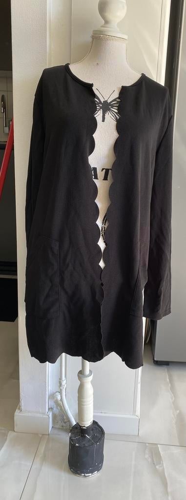 Mooi vest, Ophalen of Verzenden, Zo goed als nieuw, Carnaval