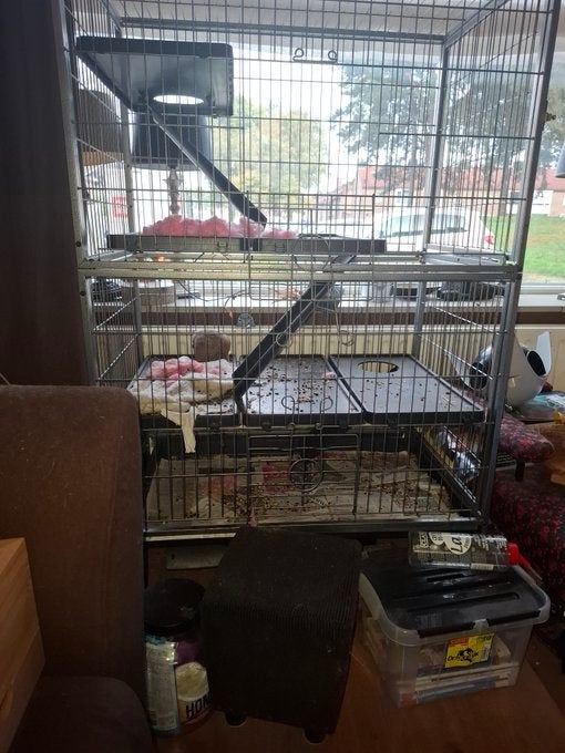 Grote knaagdierenkooi, Dieren en Toebehoren, Ophalen, Gebruikt