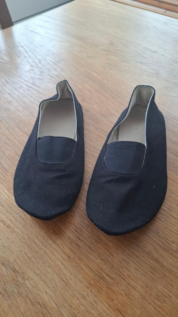 Euritmie of turn schoenen - maat 38, Maat 36 t/m 42, Ophalen, Zo goed als nieuw, Turnschoenen