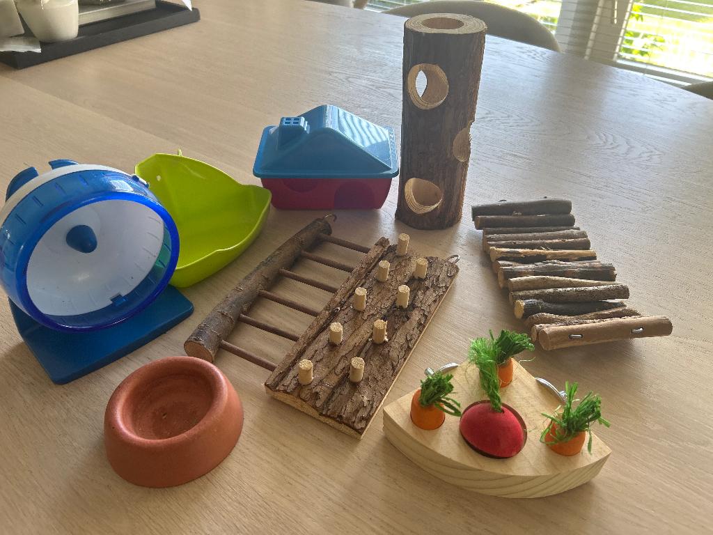 Hamster spulletjes, Januari, Geslacht onbekend, Hamster