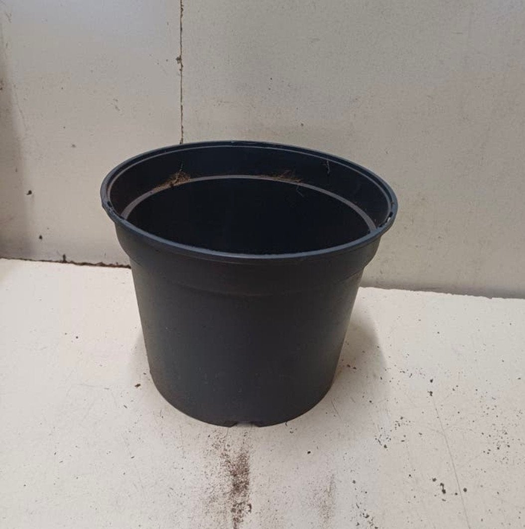 Kweekpotten plantenpotten bloempotten 3 liter, Kunststof, Gebruikt, Minder dan 30 cm, Vierkant