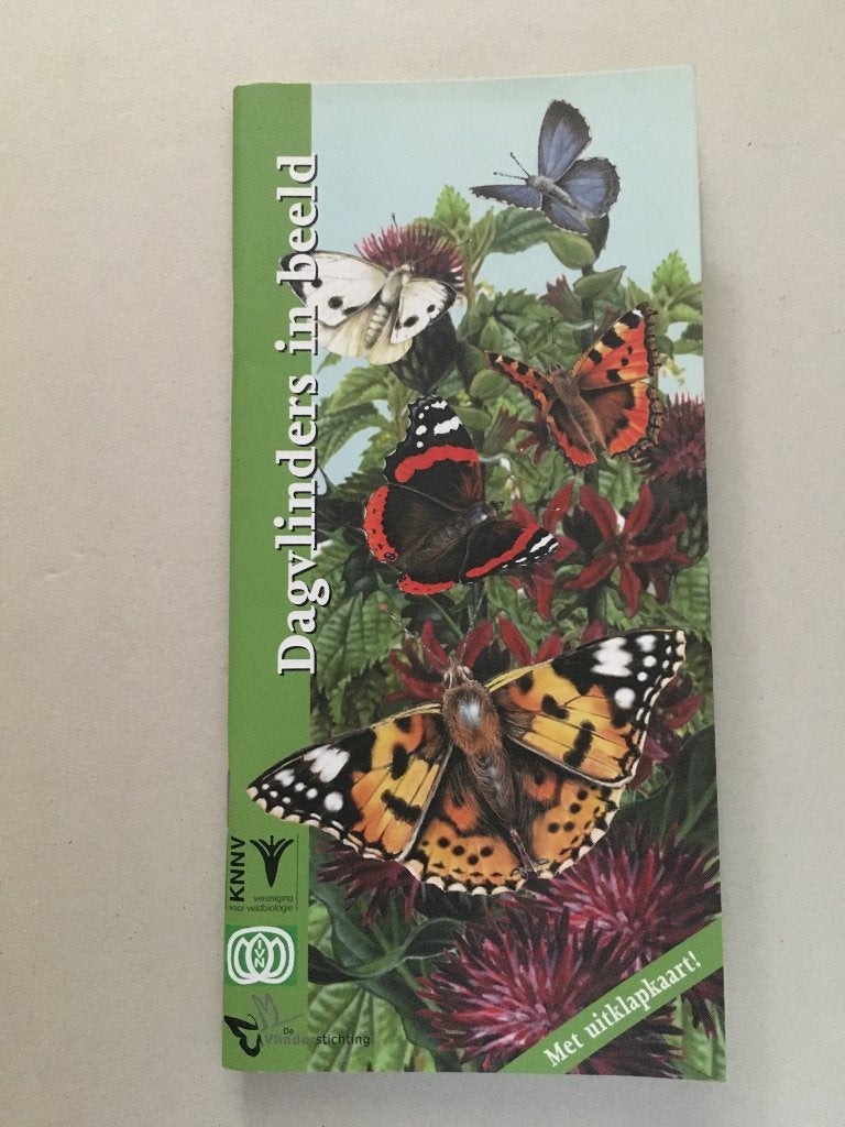 Dagvlinders in beeld, Ophalen of Verzenden, Nieuw, Natuur algemeen