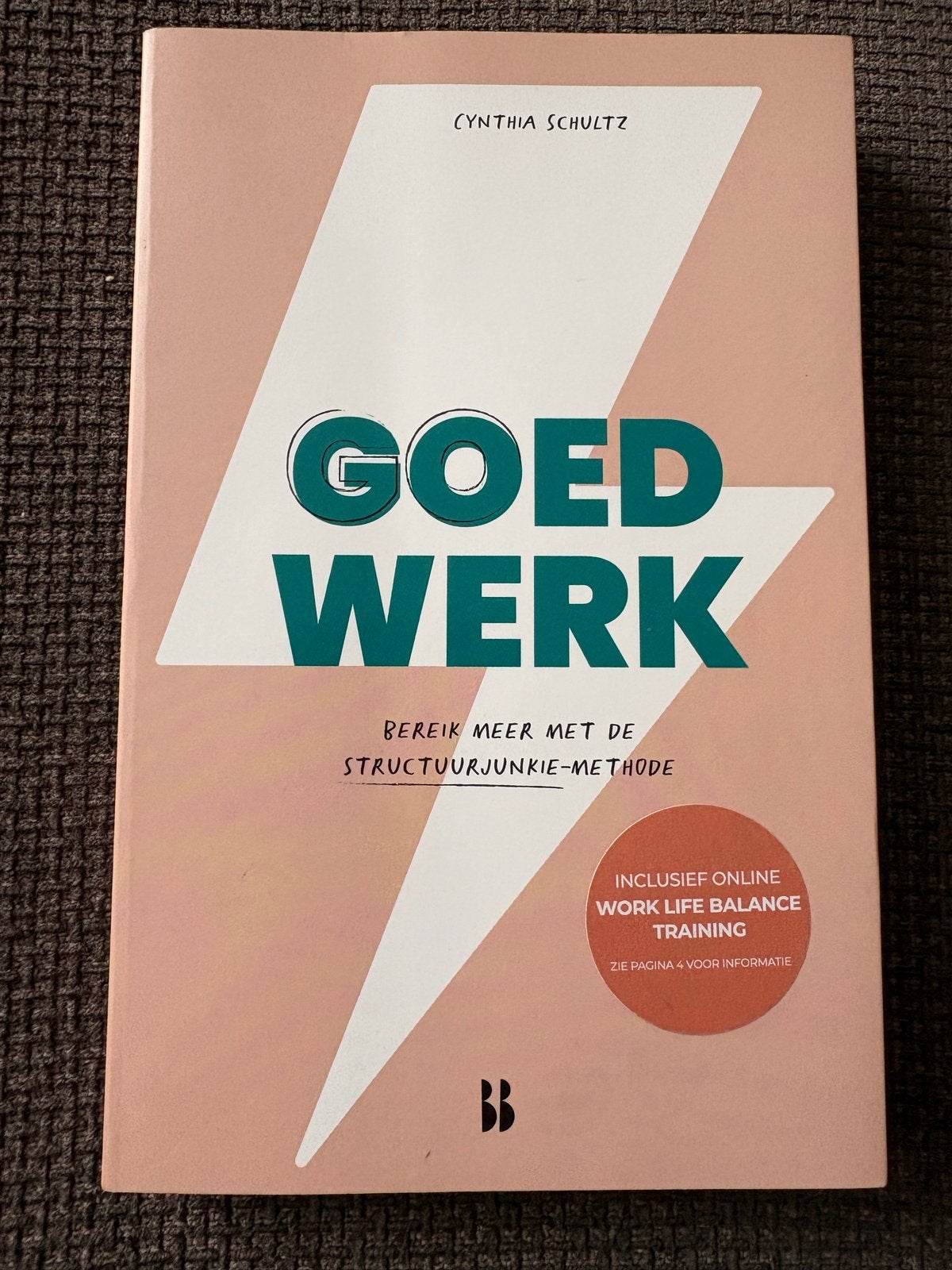 Goed Werk - Cynthia Schultz (Structuurjunkie-methode), Ophalen of Verzenden, Zo goed als nieuw, Cynthia Schultz