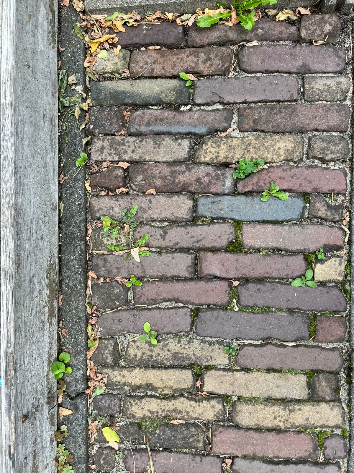 Gebakken klinkers/waaltjes ca 5 m2, Tuin en Terras, Ophalen, Gebruikt, Klinkers