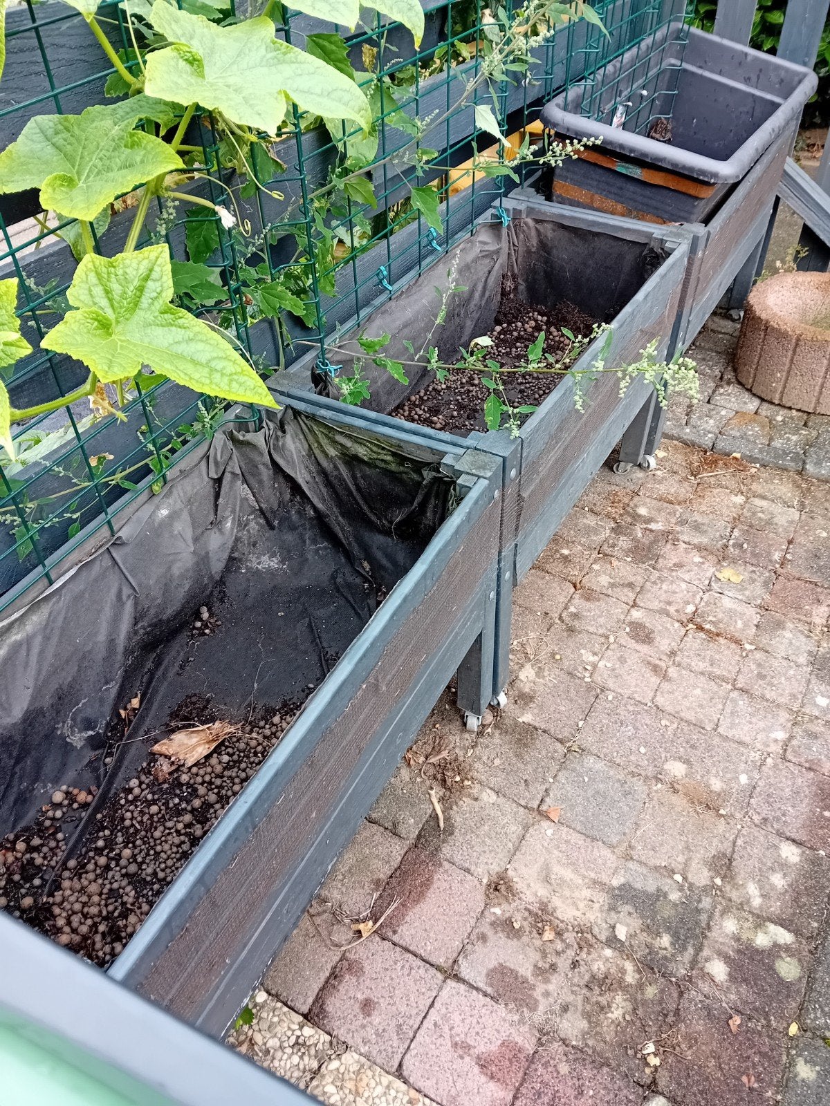 Tuinier starterspakket: kweekbakken, broeikas en meer, Ophalen, Gebruikt, Balkon, 60 tot 100 cm