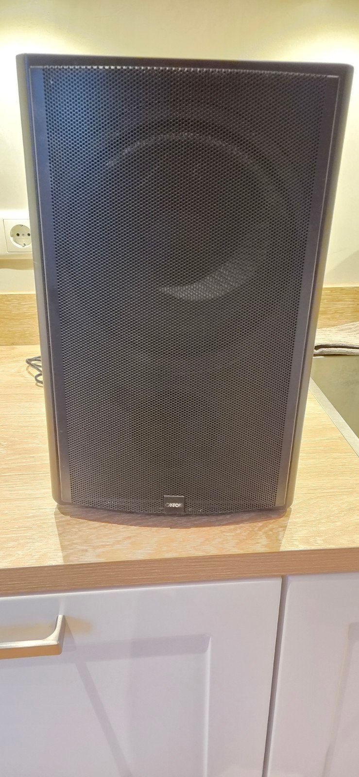 Subwoofer Canton, Audio, Tv en Foto, Luidsprekers, Gebruikt, Subwoofer, Overige merken, Ophalen