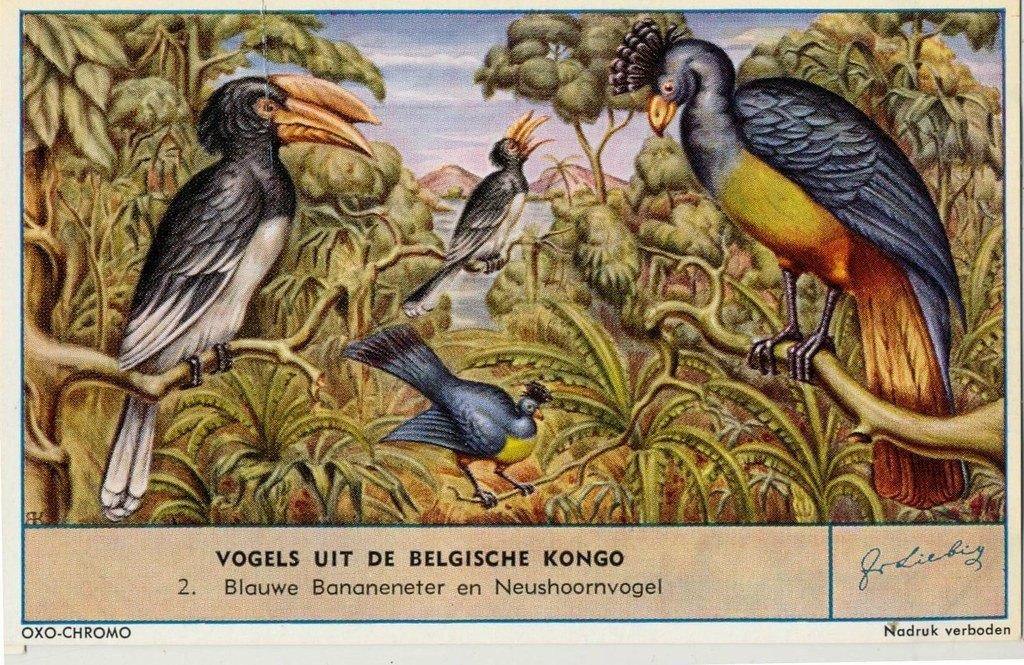 Oxo Chromo complete sets voor slechts 2,-, Ophalen of Verzenden, Voor 1940, Zo goed als nieuw, Overige onderwerpen