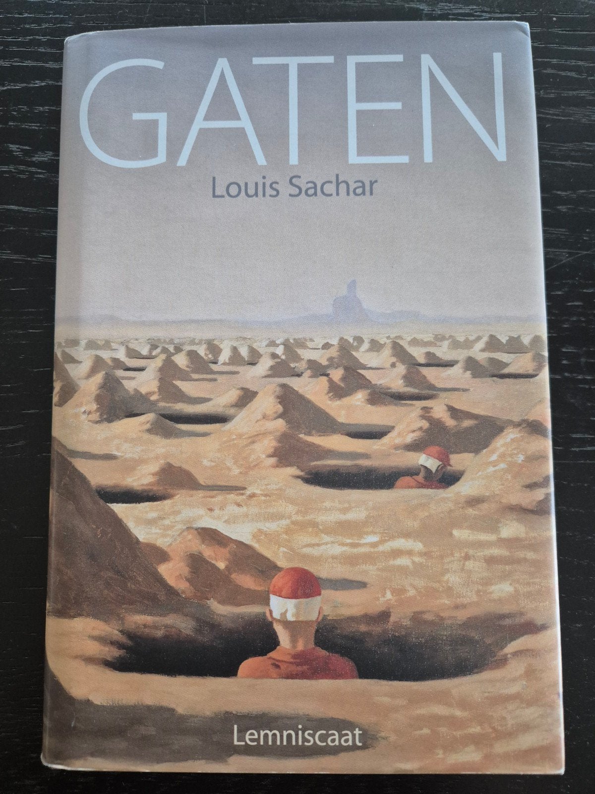Gaten - Louis Sachar (Jeugdboek), Verzenden, Gelezen
