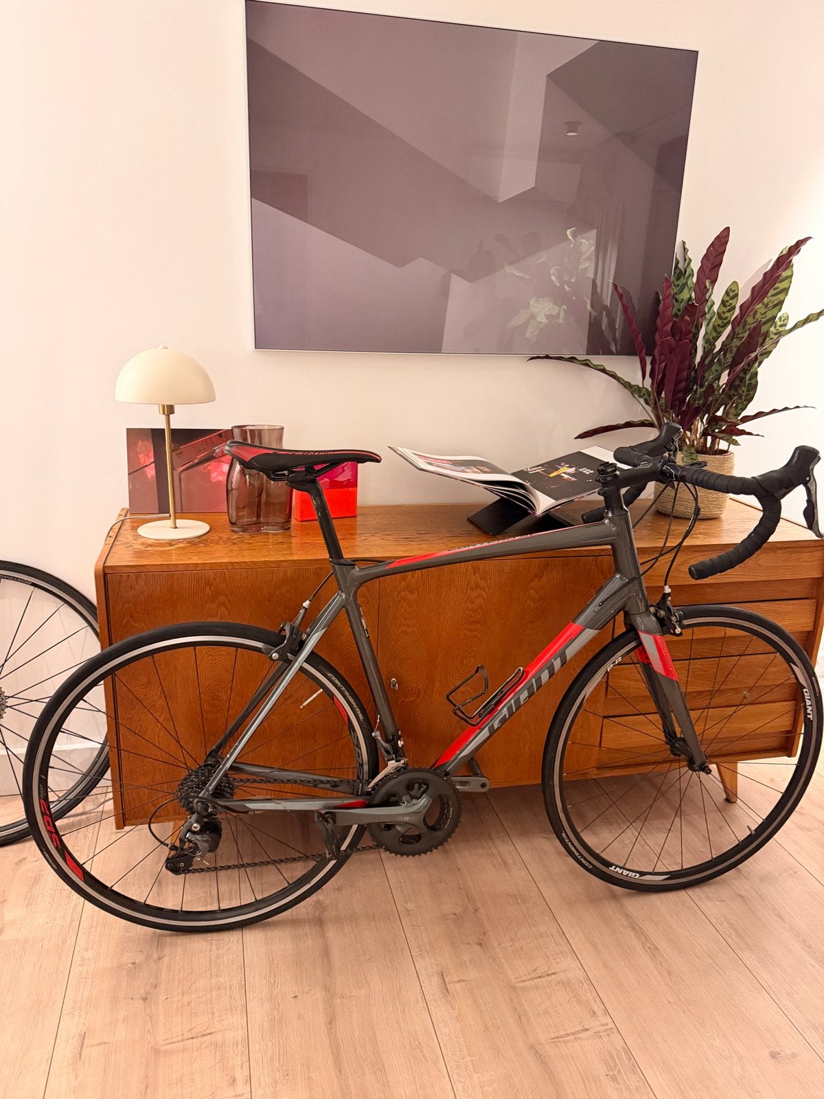 Giant Contend SL Racefiets 2018 | Shimano Tiagra | Maat L, Ophalen, 28 inch, Gebruikt, 10 tot 15 versnellingen