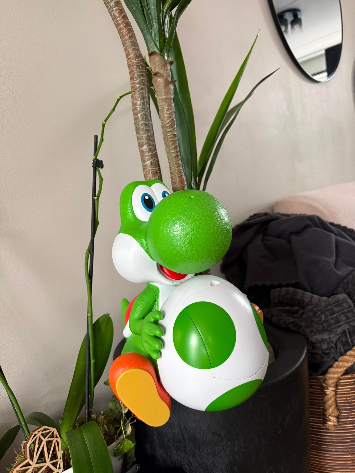 Yoshi, Ophalen, Nieuw