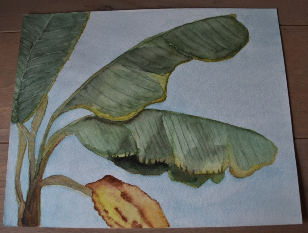 Handgemaakt aquarel van bananenbladeren (40x50 cm), Ophalen, Realistisch, Aquarel, Overige onderwerpen