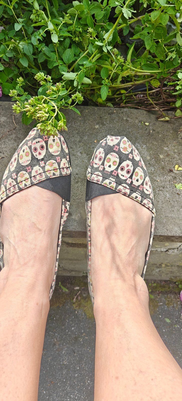 Sugar Skull Ballerina’s – Maat 9.5 / 41, Ophalen of Verzenden, Zo goed als nieuw, Overige kleuren