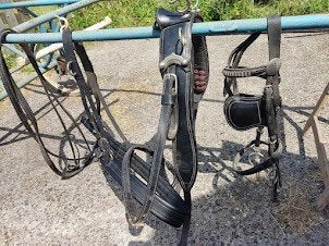 men tuig, Dieren en Toebehoren, Paarden en Pony's | Hoofdstellen en Tuigage, Ophalen, Gebruikt, Mentuig