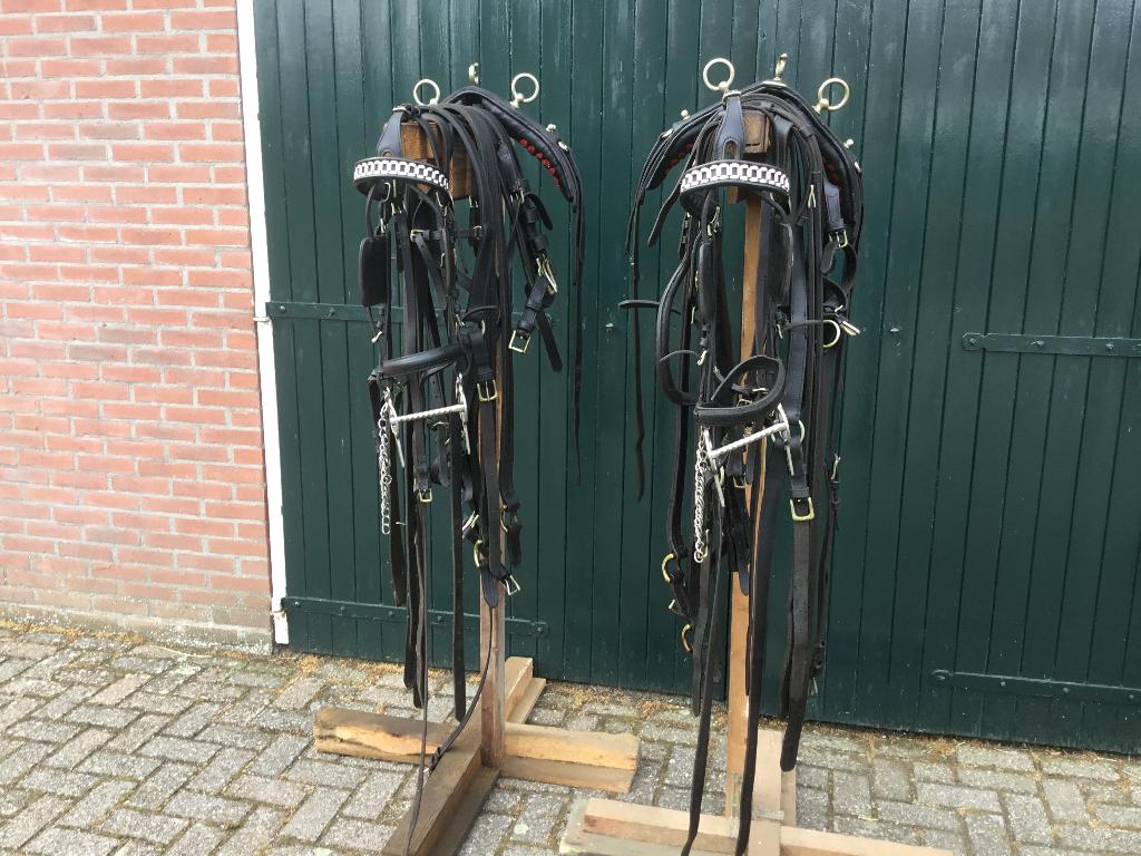 Dubbelspan Paarden mentuig, Ophalen, Zo goed als nieuw, Overige soorten