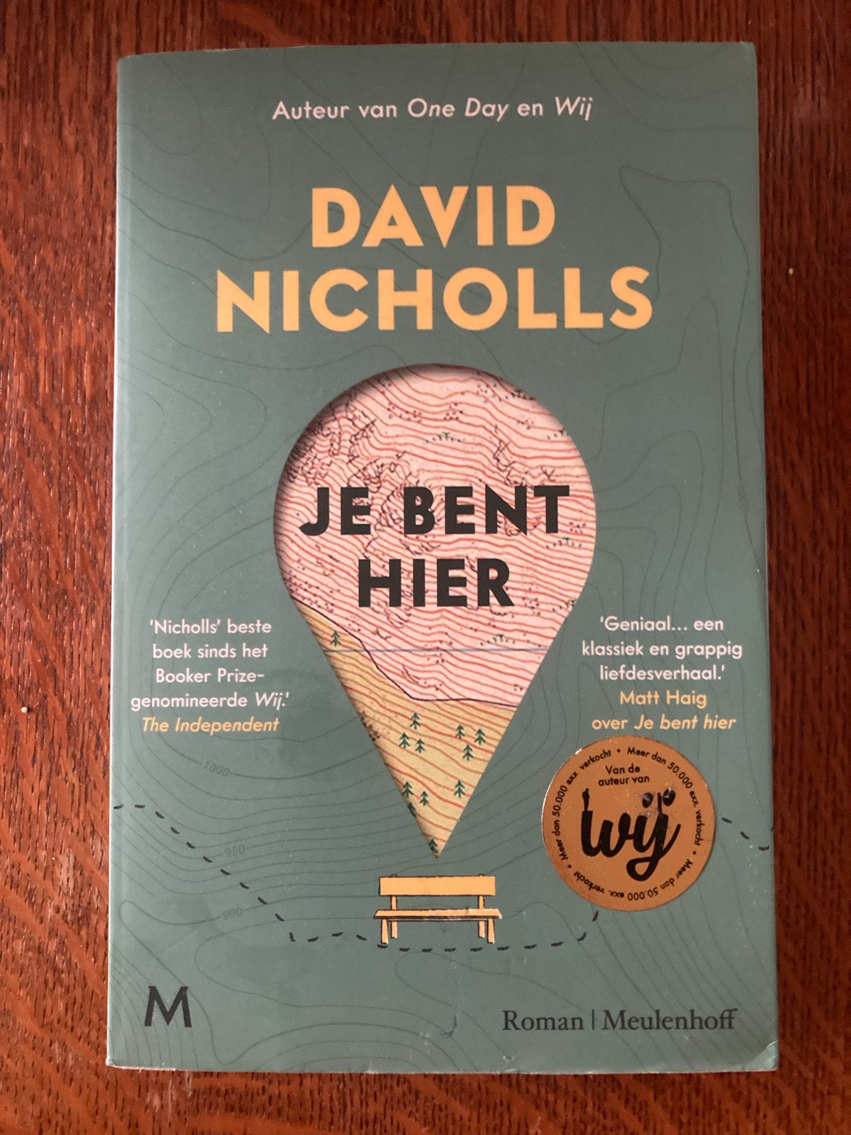 Je Bent Hier - David Nicholls (Roman), Boeken, Ophalen of Verzenden, Zo goed als nieuw