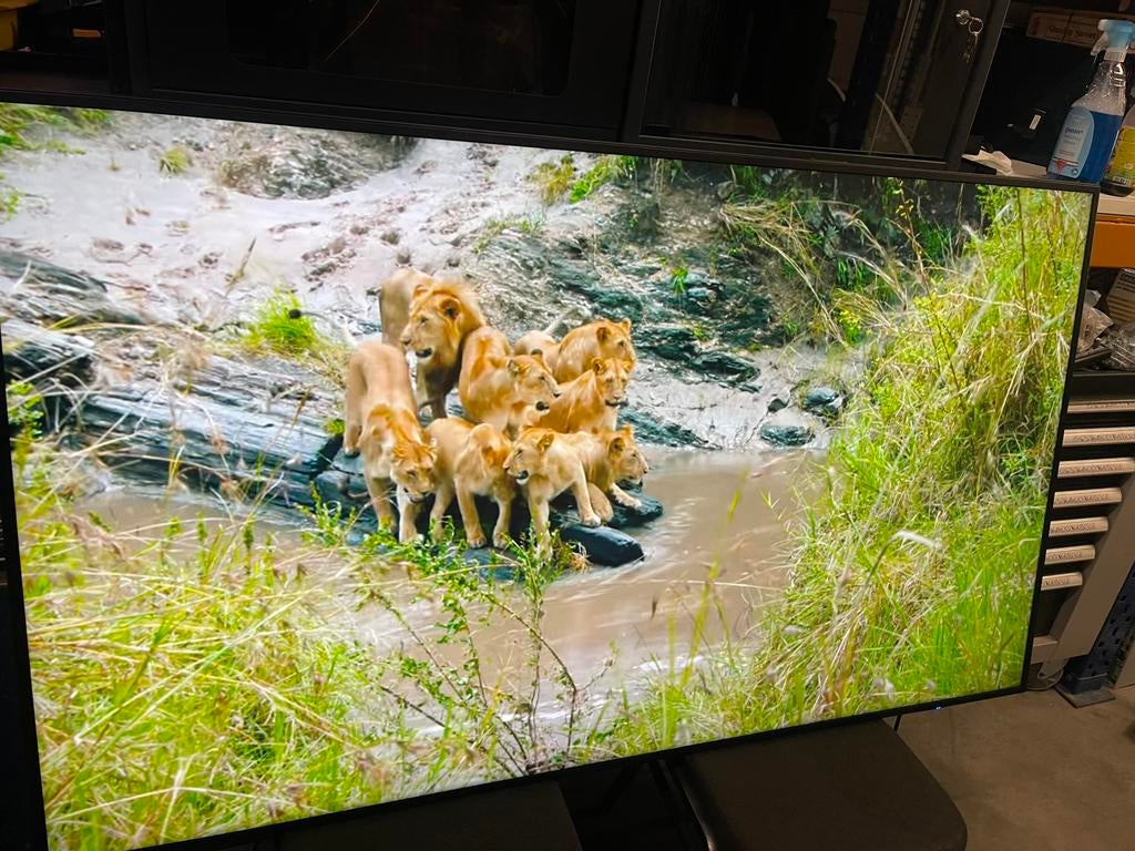 NEC Display 75Inch C751Q Norm€4749,00 nu €400,00  Scherm 1