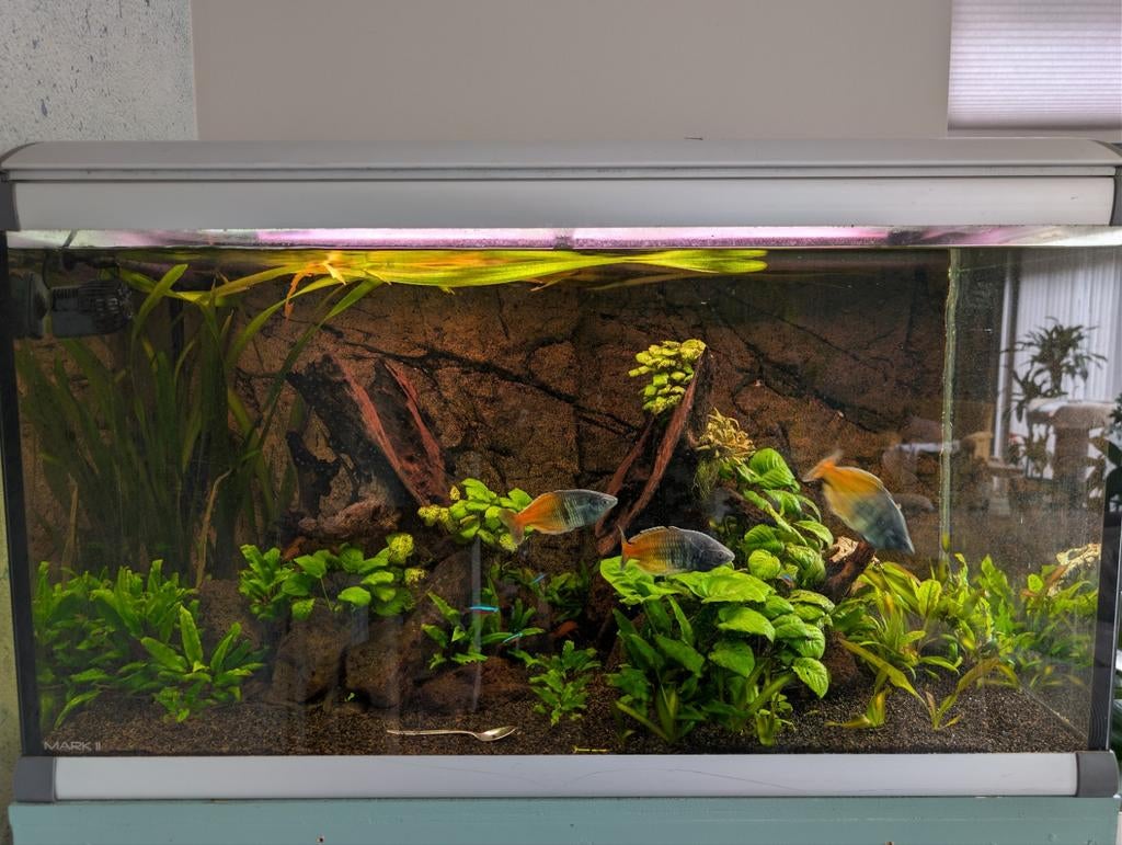 Aquarium te koop – AkvaStabil Mark II 50x60x100 cm, Dieren en Toebehoren, Ophalen, Gebruikt, Leeg aquarium, Inclusief slangen