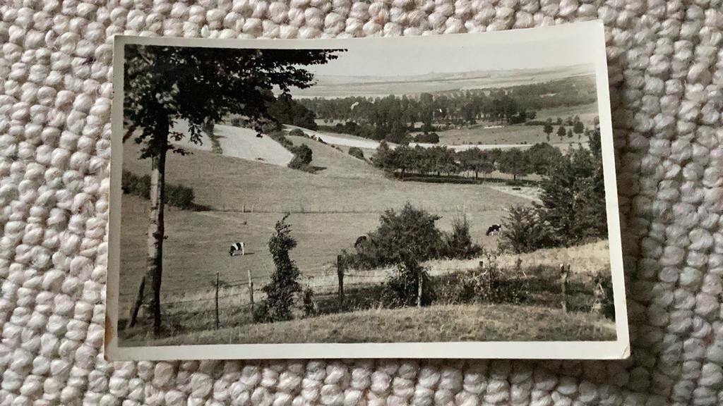 Ansichtkaart Mechelen Panorama vanaf De Suikerknip jaren ‘50, Verzamelen, Ansichtkaarten | Nederland, Ophalen of Verzenden, 1940 tot 1960
