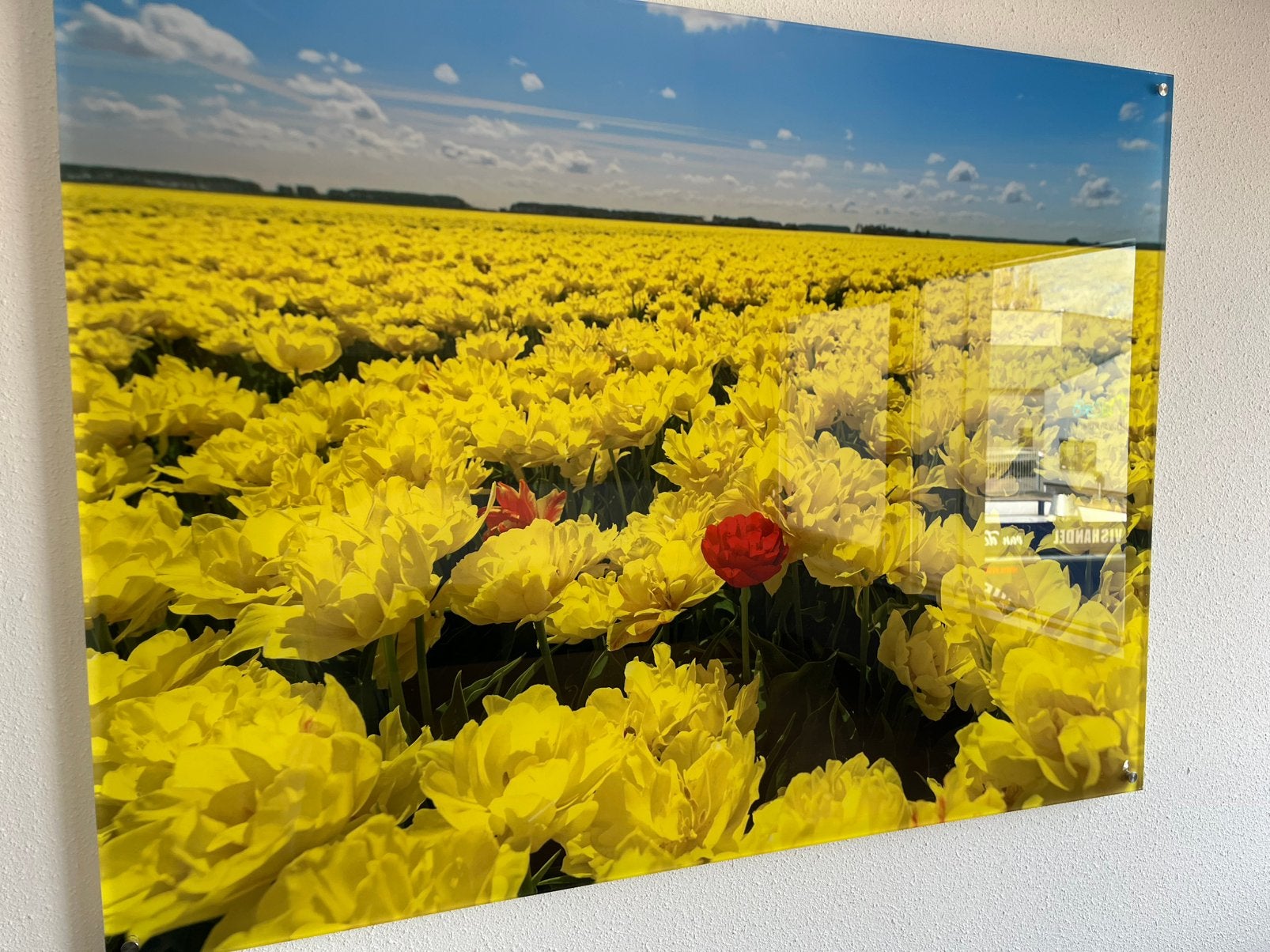 Foto op plexiglas, Ophalen of Verzenden, Zo goed als nieuw, 100 tot 125 cm, Schilderij