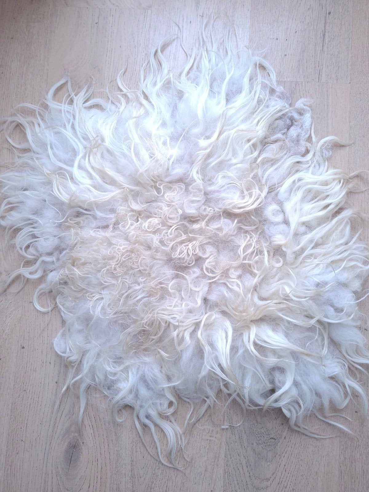 Schapenvacht Drents Heideschaap, Ophalen of Verzenden, Overige vormen, 50 tot 100 cm