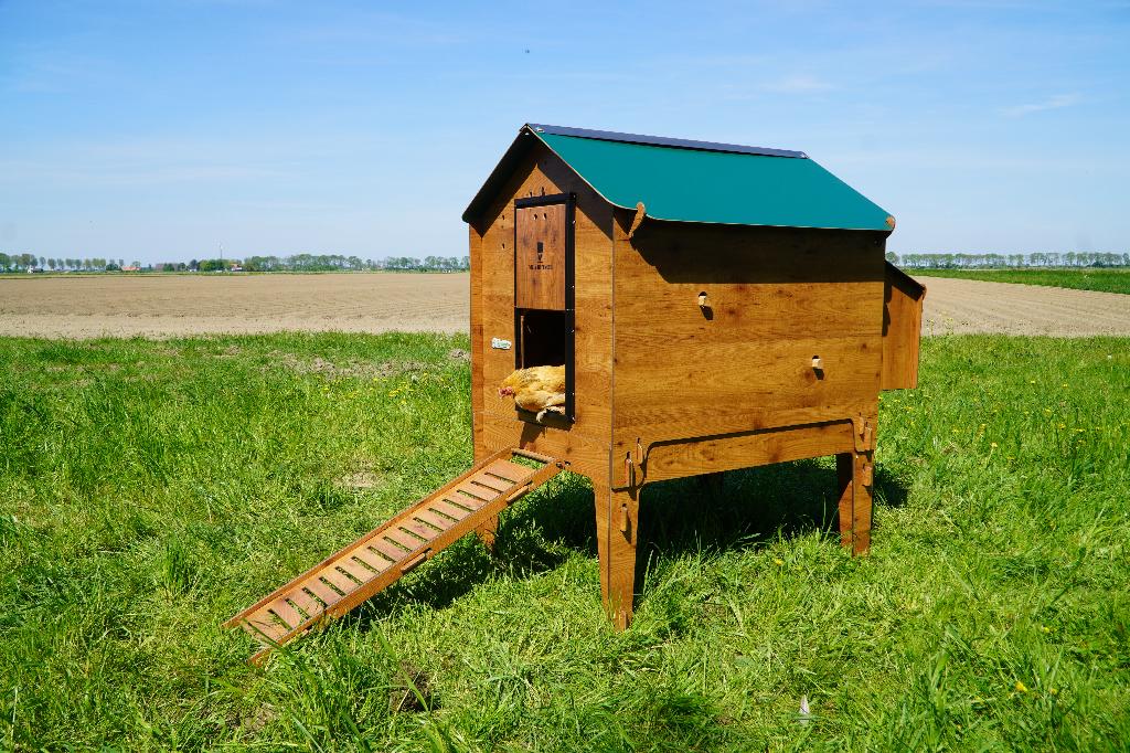Trespa Kippenhok Cucciolotta Classic XL | Op Pootjes, Dieren en Toebehoren, Pluimvee | Toebehoren, Ophalen of Verzenden, Nieuw