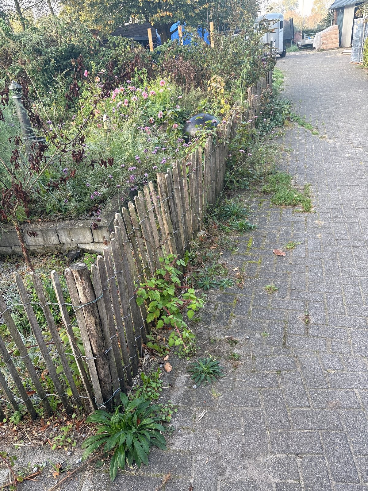 Schapenhekwerk met 2 poortjes (14-15 meter), Ophalen, Met poort, Gebruikt, Tuinhek