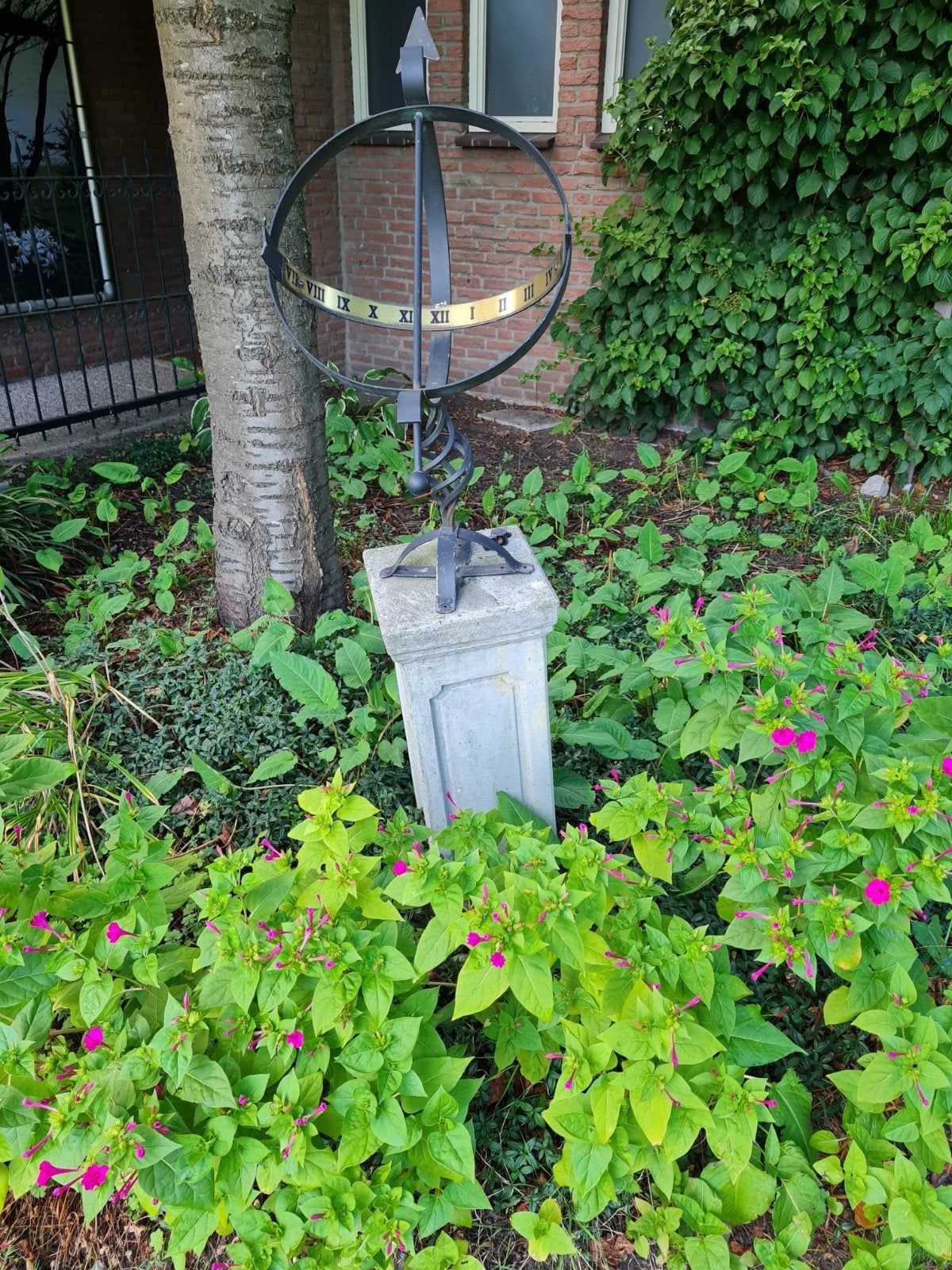 Zonnewijzer, Ophalen, Gebruikt