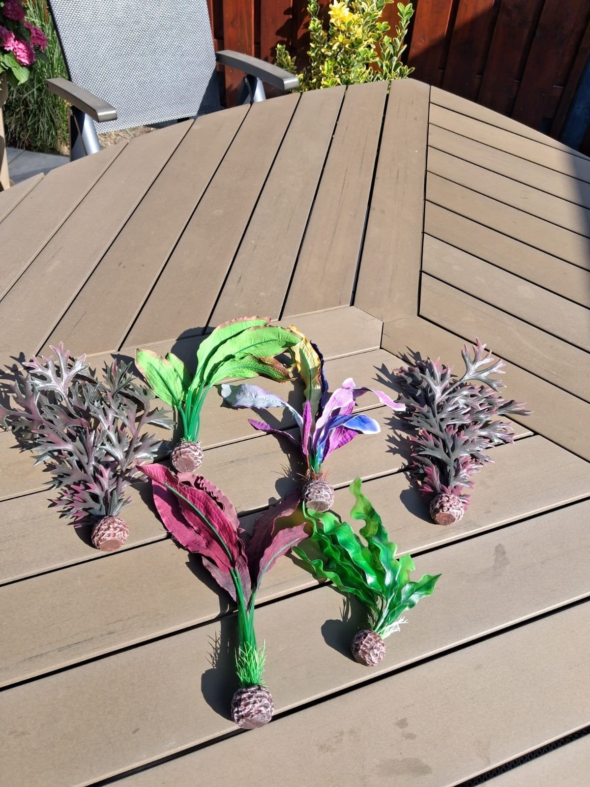 Diverse Biorb plantjes!, Dieren en Toebehoren, Vissen | Aquaria en Toebehoren, Ophalen of Verzenden, Plant(en), Steen of Hout