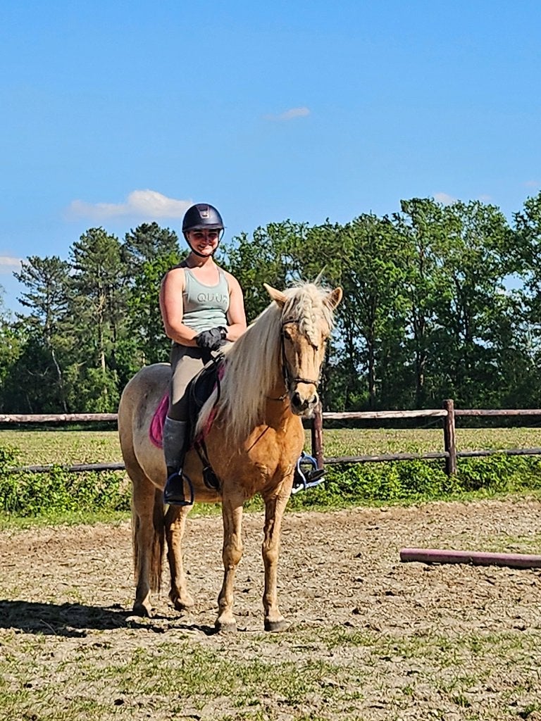 Ijslander merrie, Merrie, B, D pony (1.37m tot 1.48m), 11 jaar of ouder