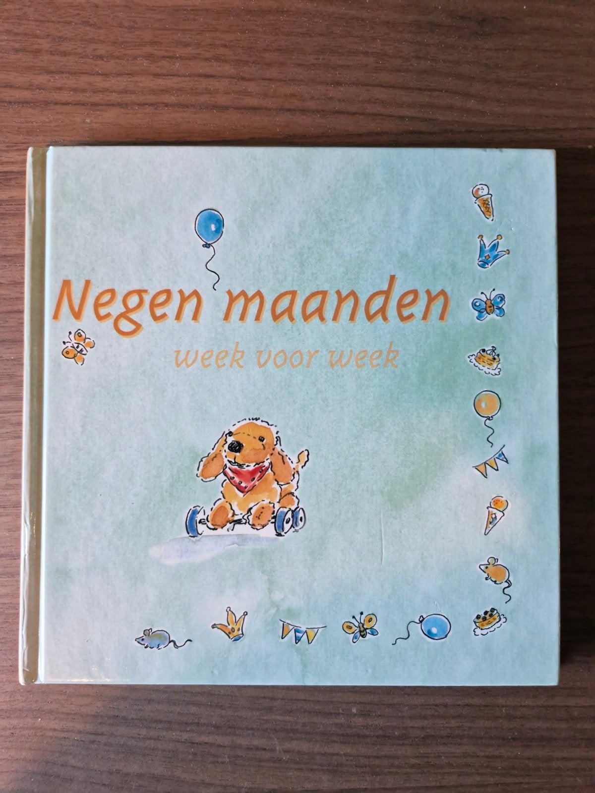 Negen maanden week voor week - Zwangerschapsdagboek, Boeken, Ophalen of Verzenden, Zo goed als nieuw, Zwangerschap en Bevalling