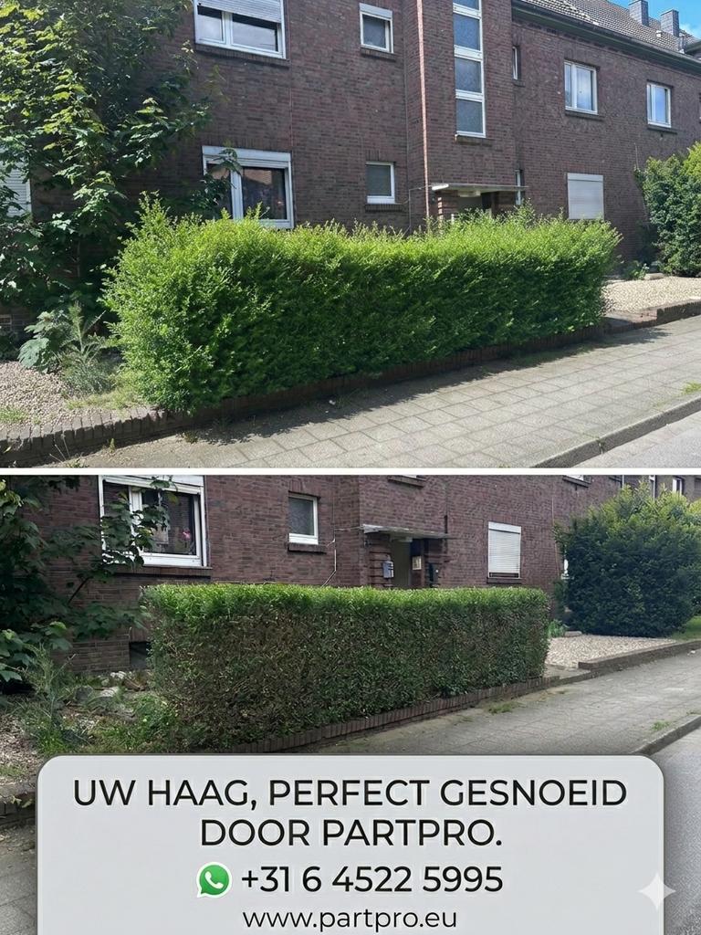 Hovenier voor onderhoud & reining- Nijmegen E.O. - PARTPRO, Diensten en Vakmensen, Garantie, Tuinontwerp