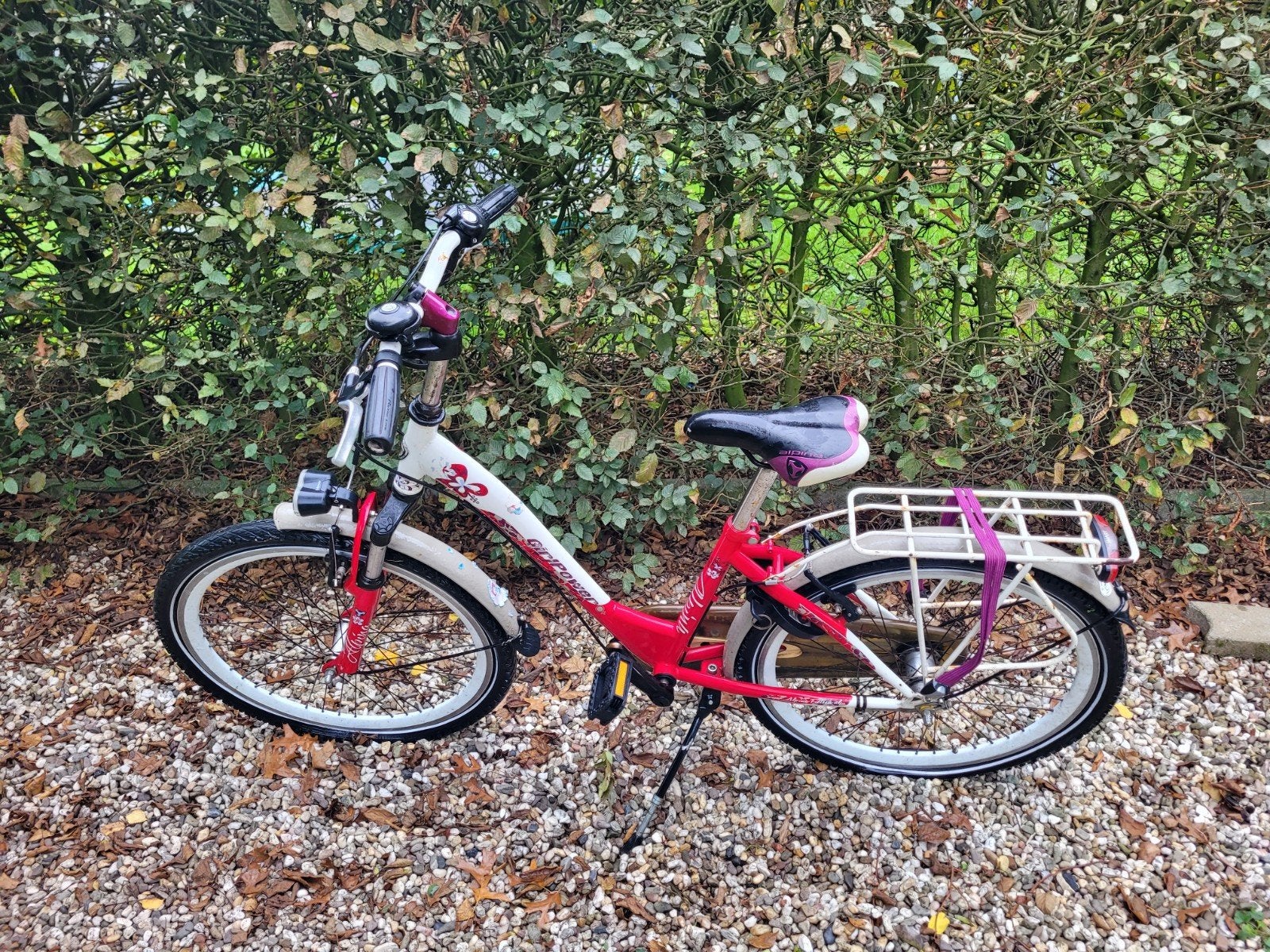 Meisjesfiets 24 inch Alpina Girlpower, Fietsen en Brommers, Velgrem, Handrem, Ophalen, Gripforce