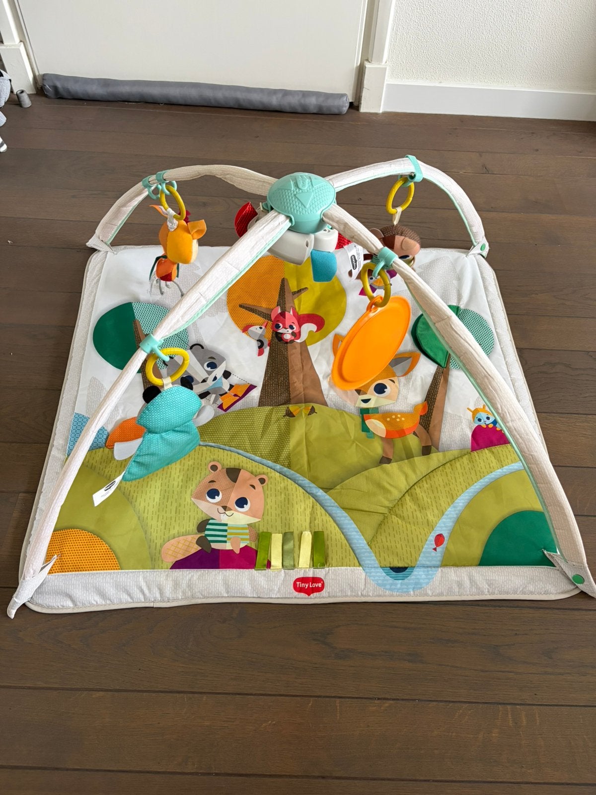 Tiny love baby gym speelkleed, Ophalen, Zo goed als nieuw