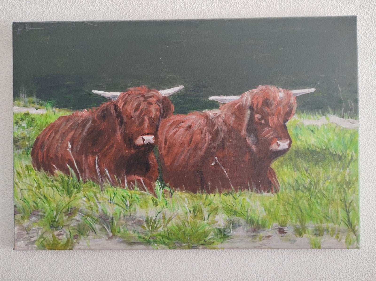 Schilderij: Twee Schotse Hooglanders in het gras, Ophalen of Verzenden