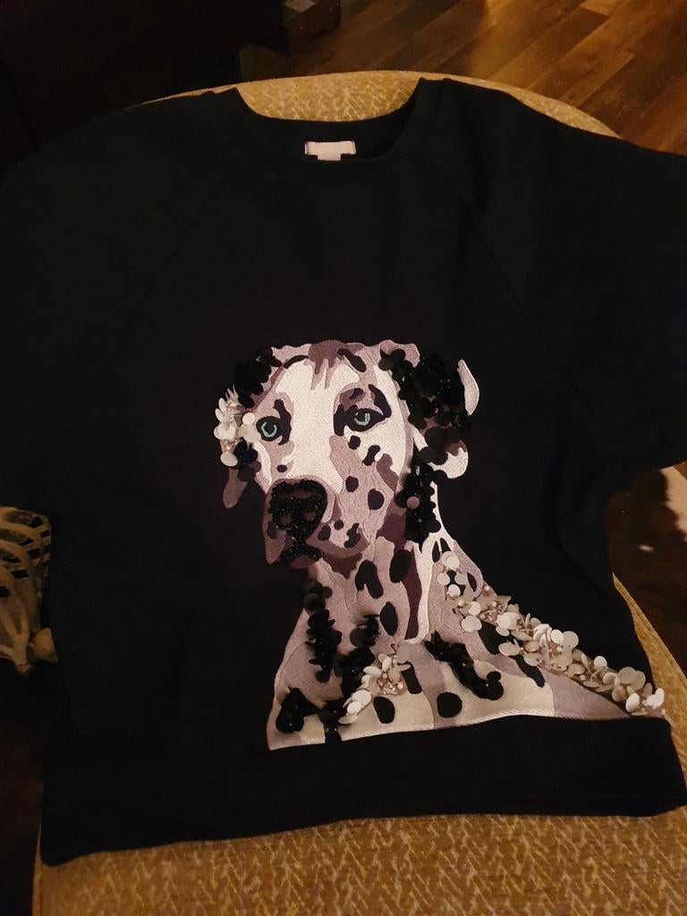 Dalmatier trui h&m, maat m, Ophalen of Verzenden