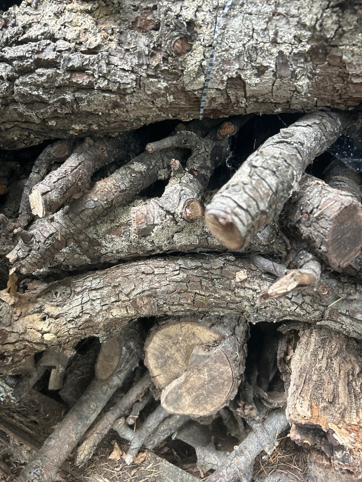 Haardhout - kuub 1m3 gedroogd fruithout, Minder dan 3 m³, Ophalen of Verzenden, Overige houtsoorten, Takken