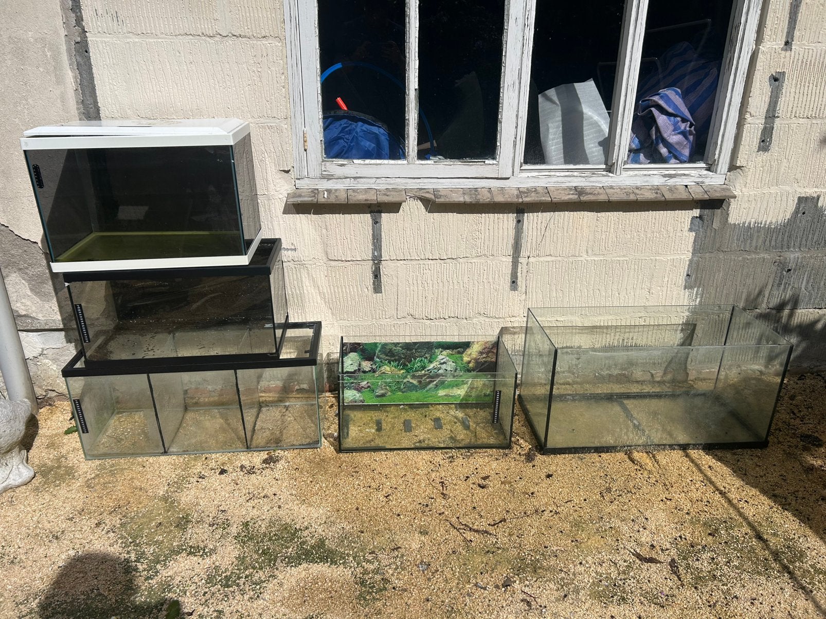 Diverse aquariums, verschillende maten, Ophalen, Zo goed als nieuw