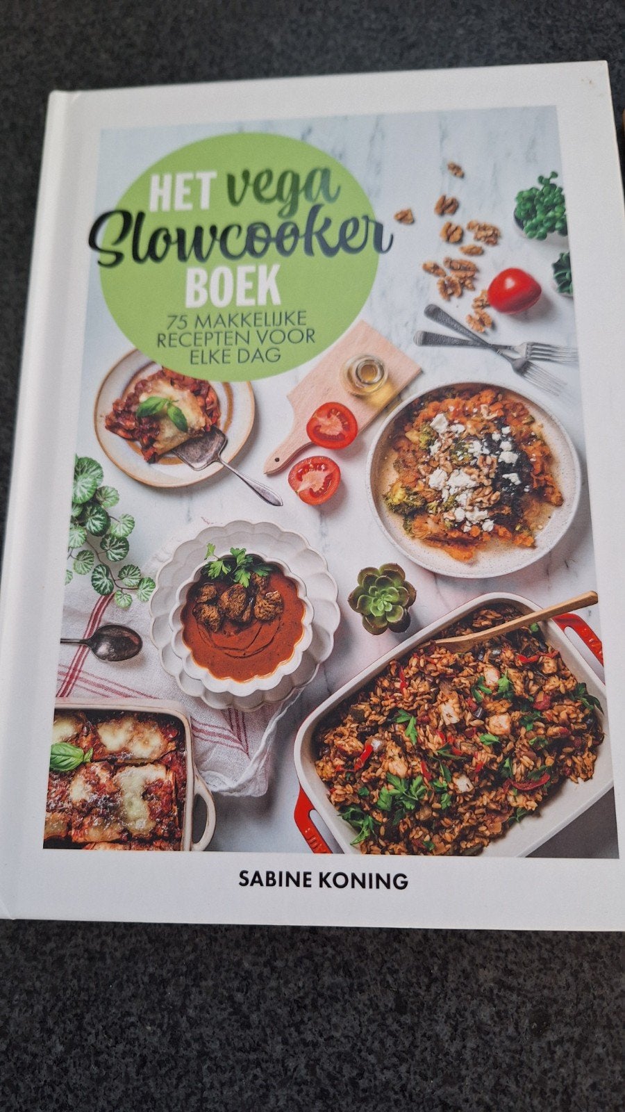 Het Vega Slowcooker Boek - 75 Makkelijke Recepten, Gezond koken, Sabine Koning, Ophalen of Verzenden, Zo goed als nieuw