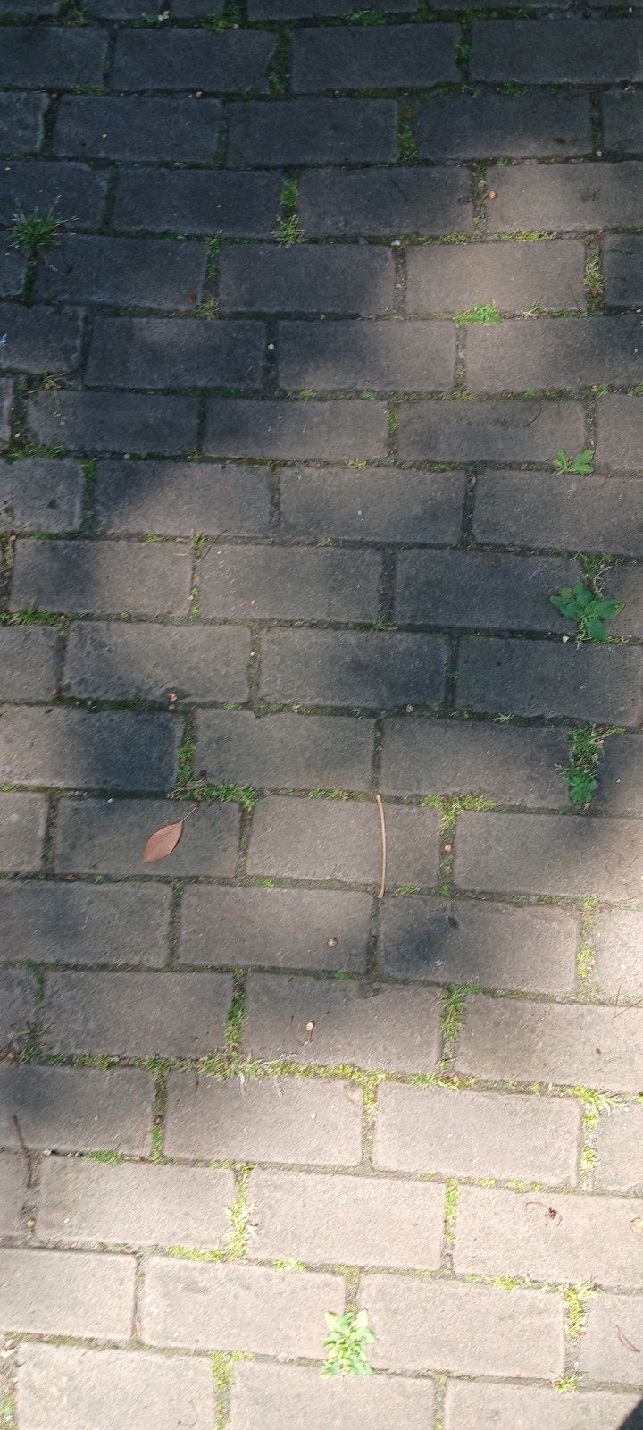 Tomos gezocht, Fietsen en Brommers, Elektrische fietsen, Ophalen, Overige merken
