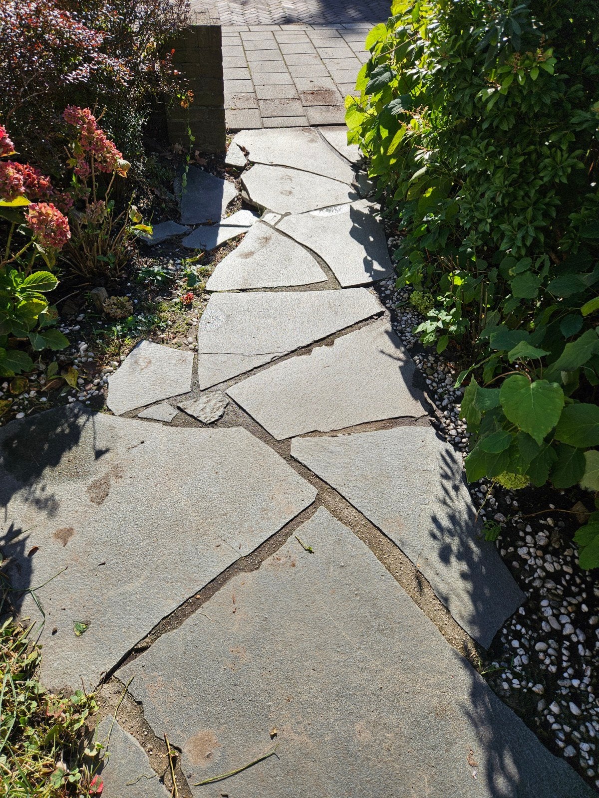 Leisteen pad (circa 7,5 m2), Tuin en Terras, Ophalen, Gebruikt, 5 tot 10 m², Natuursteen