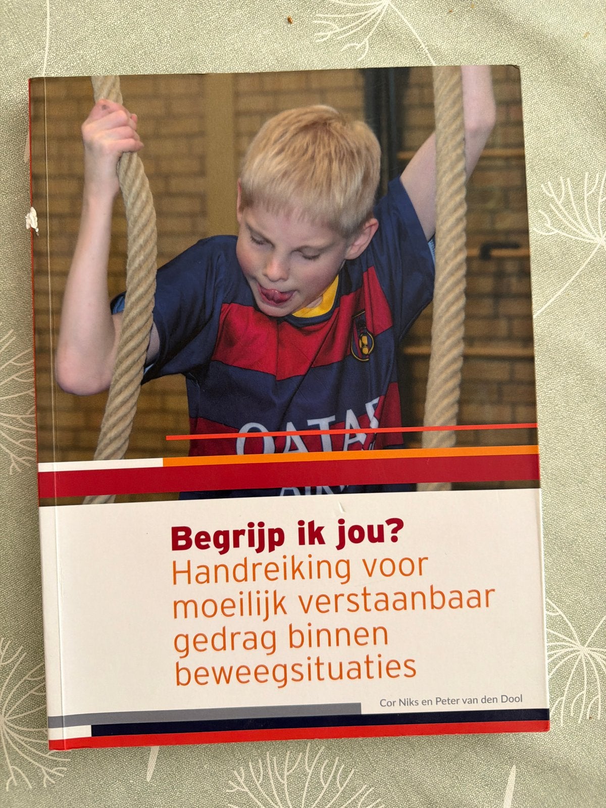 Begrijp ik jou? Handreiking moeilijk verstaanbaar gedrag, Ophalen of Verzenden, Gamma, Gelezen, HBO